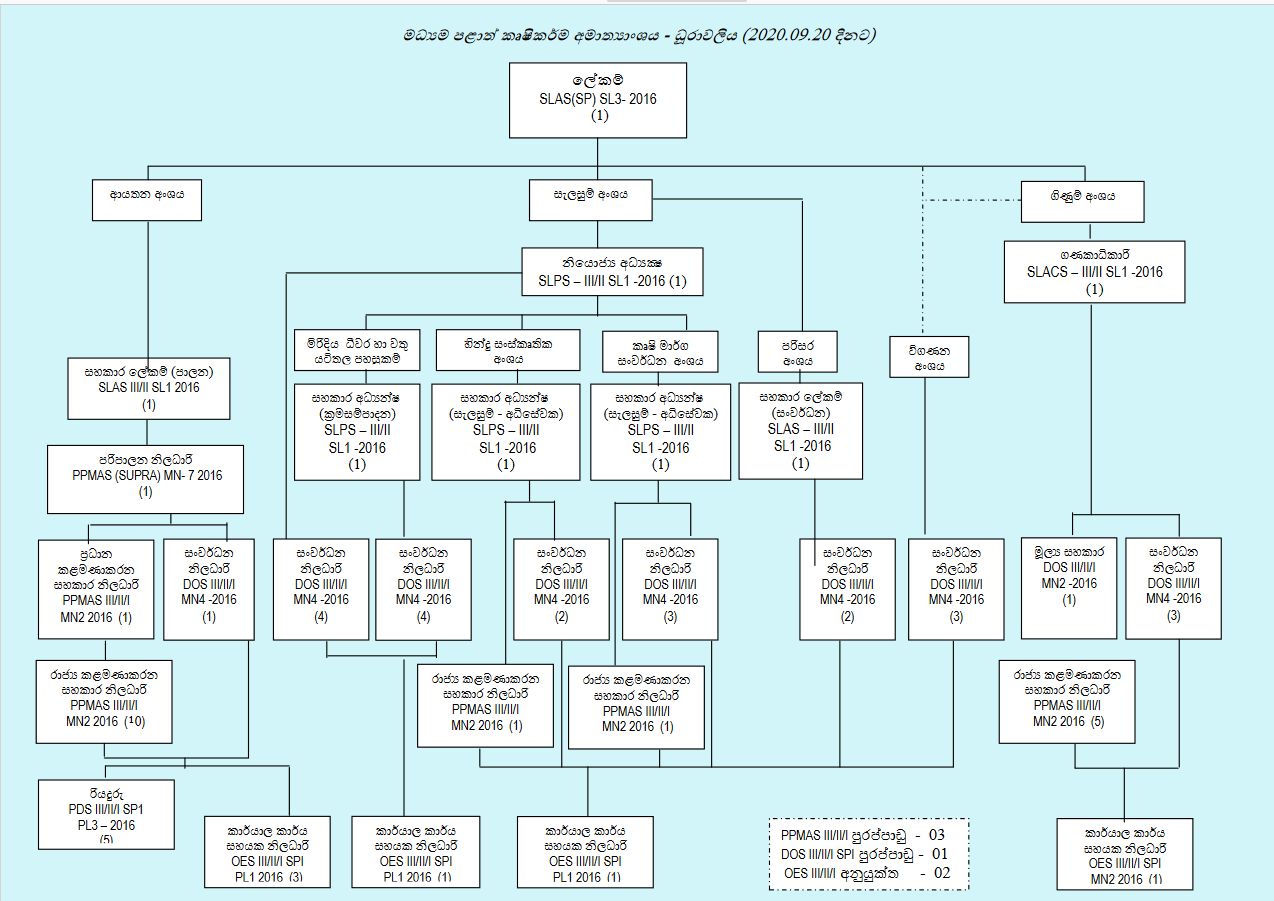 Organization Chart of Ministry of Road Development, Power & Energy and Housing & Construction, Sri Lanka