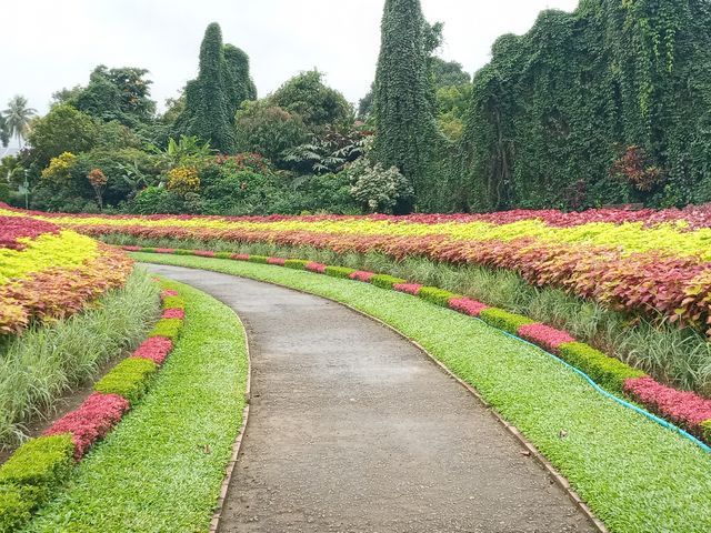 10 landscaping 03