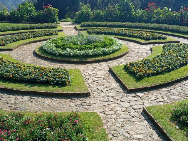 10 landscaping 03