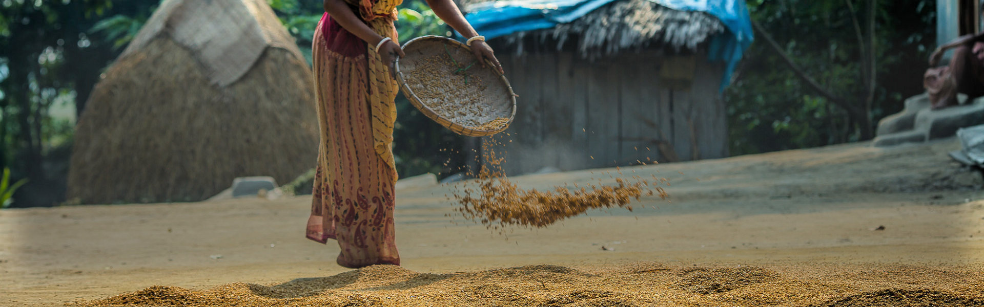 කෘෂිකර්ම, වාරිමාර්ග, සත්ව නිෂ්පාදන අමාත්‍යාංශය