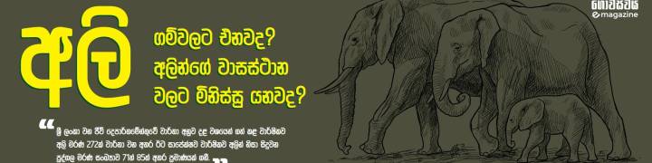 අලි ගම්වලට එනවද ? අලින්ගේ වාසස්ථාන වලට මිනිස්සු යනවද ?