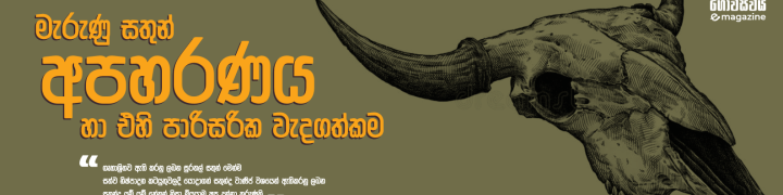 මැරුණු සතුන් අපහරණය හා එහි පාරිසරික වැදගත්කම